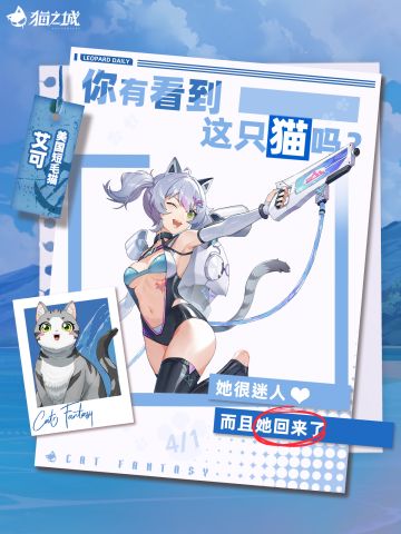 🐾寻猫启事：你有看到美短猫吗？