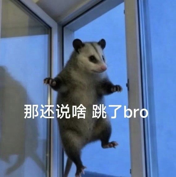 刺客那么捞的职业一直出帅比皮肤几个意思呀 1