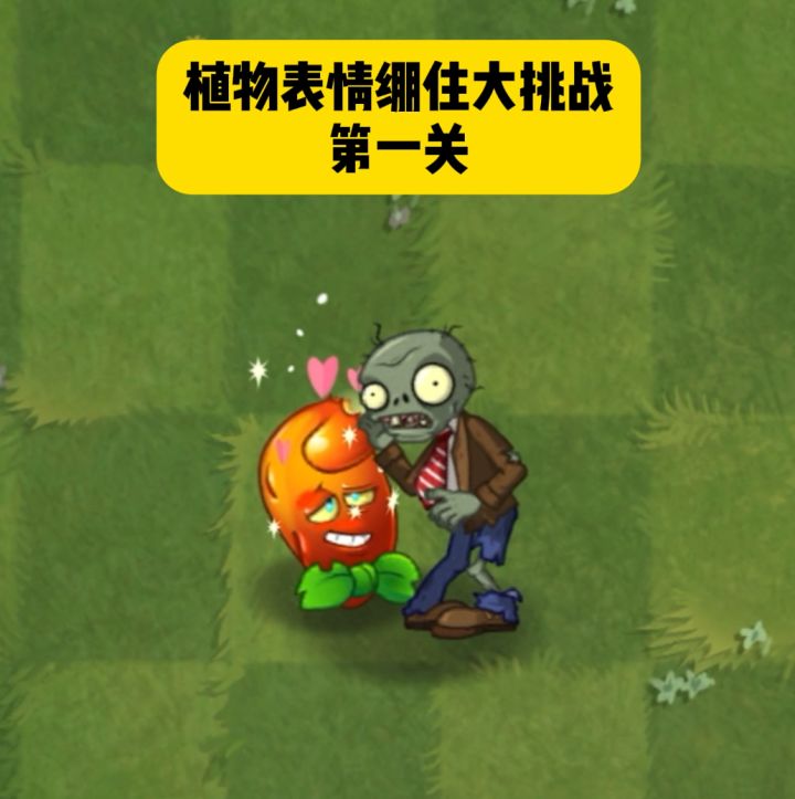 植物表情绷住大挑战截图