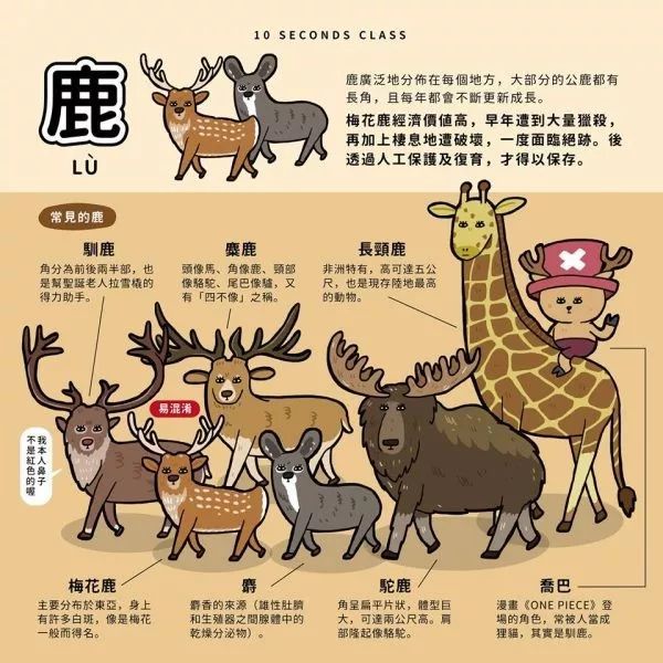 埃隆和伊米尔的原型 3
