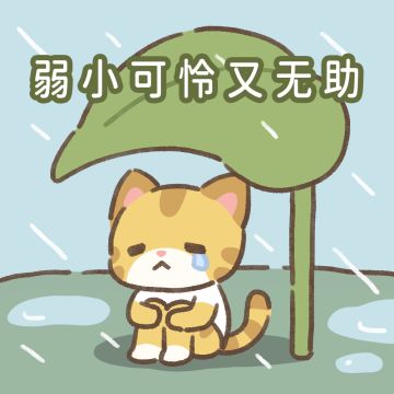 你的小日月突然出现丨针对今天早上更新延期的说明