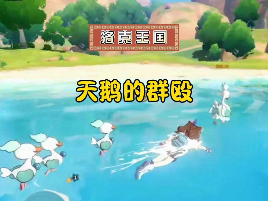 video-5578051