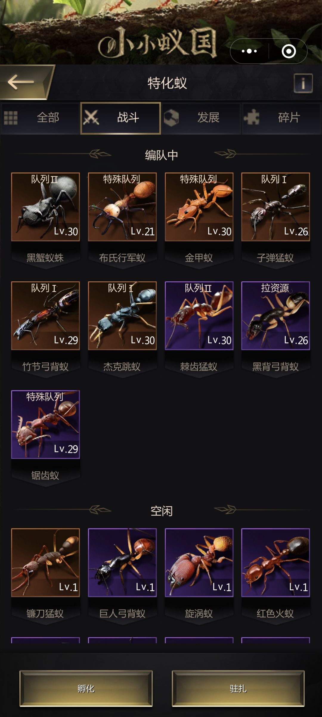 求大佬帮忙安排一下部队吧 1