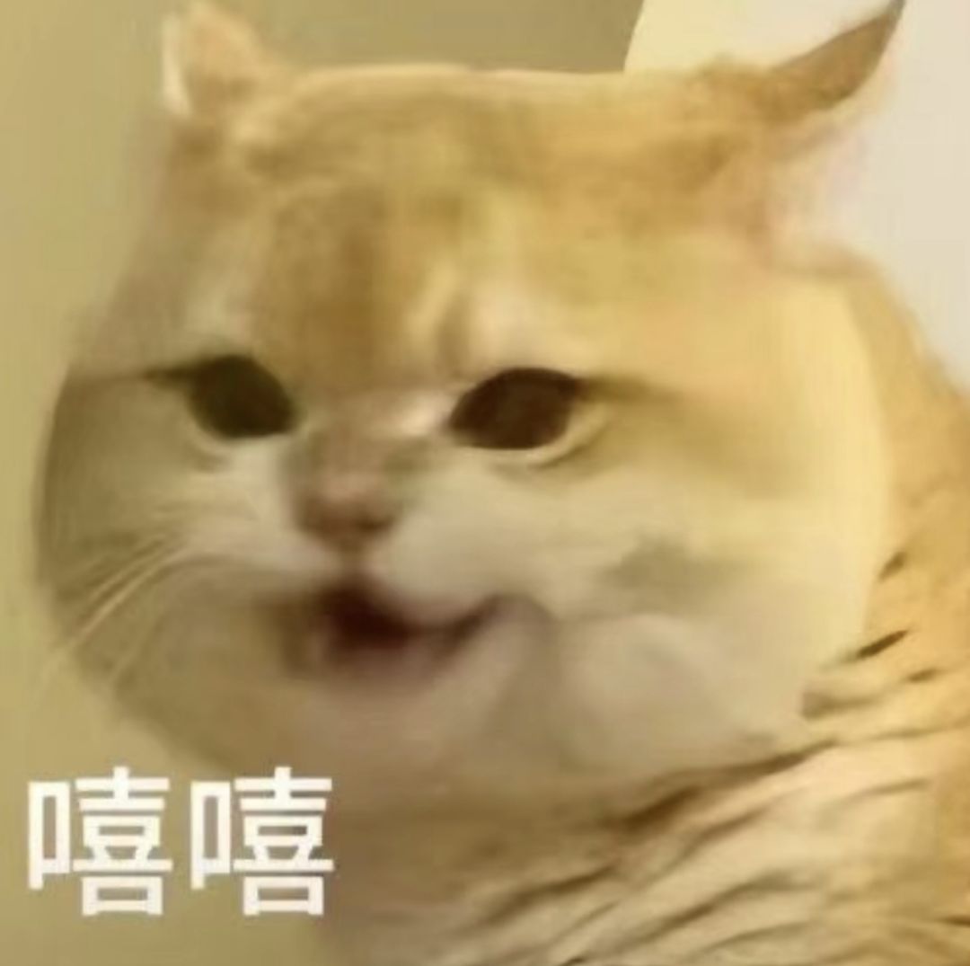 打了一上午 3