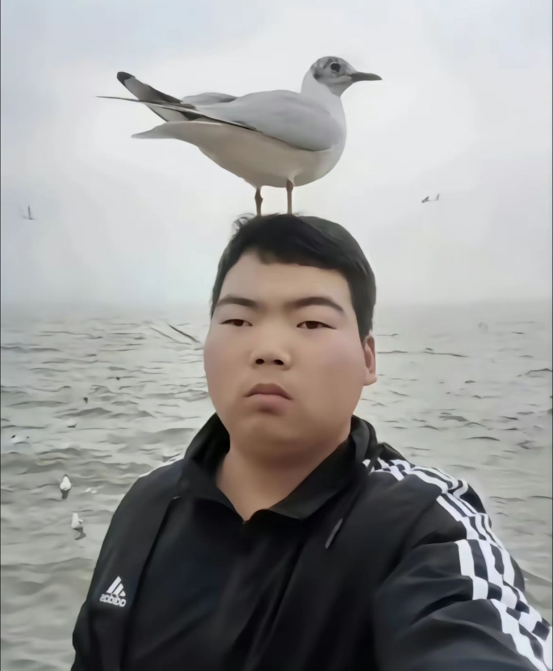 动态图片 2