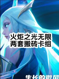 二套搬砖卡组以及雷云启动方式