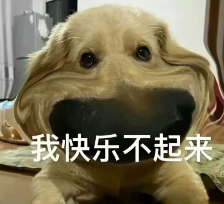 七夕快乐截图