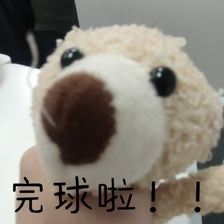 买花时间截图