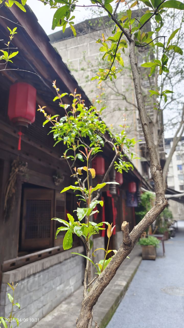免费拿史诗武器，勇闯2000关，获得箭神称号，赶快来玩！ 888
#游戏福利 #攻略 #游戏推荐 #有奖活动 #游戏讨论 
#发现好游戏 #游戏日常 #单机游戏 #欧皇附体截图
