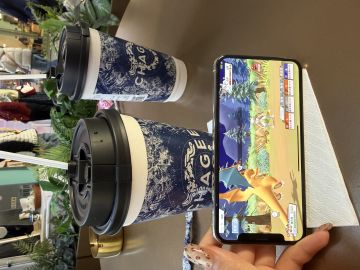 全新宝可梦手游 上头又好玩！