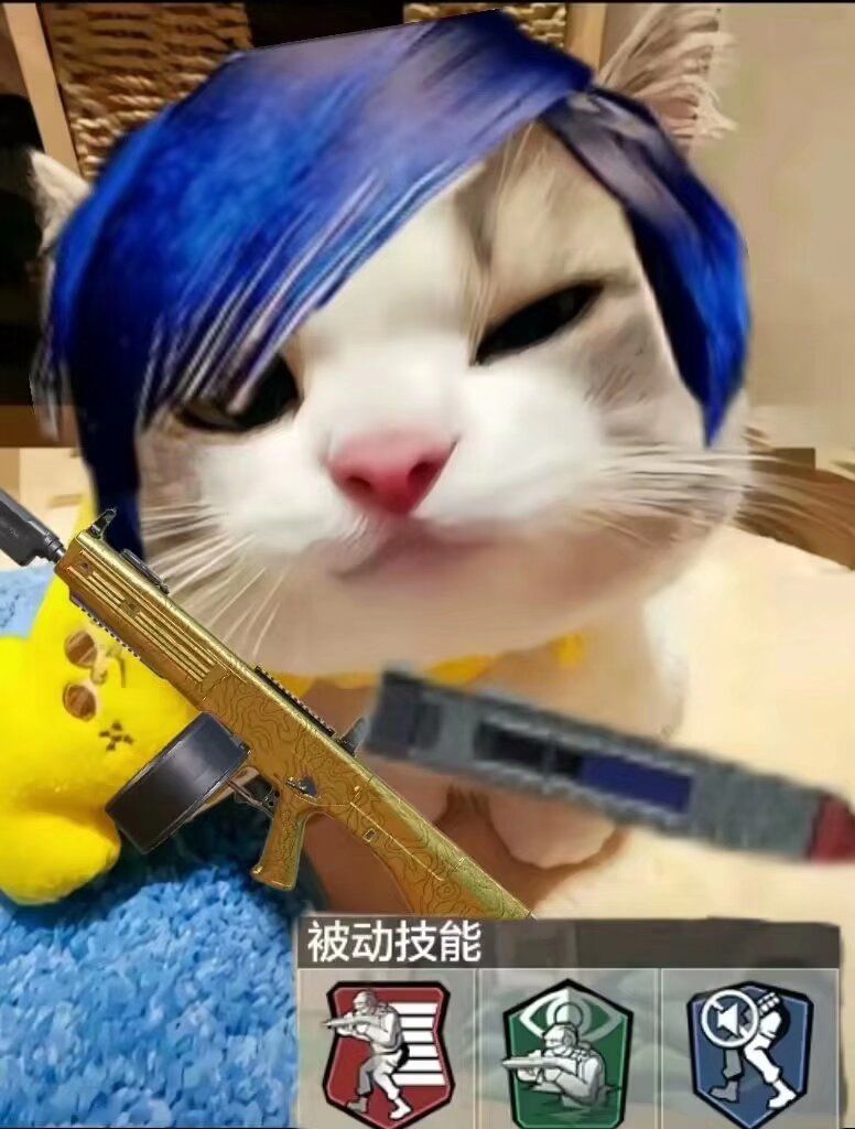CODM启动!!!! 2