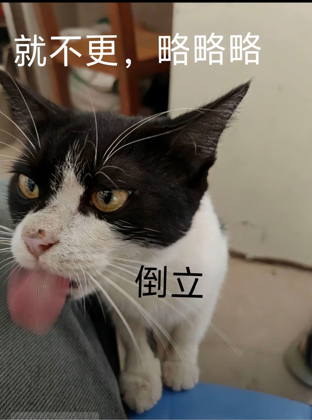 退游了退游了!号已挂,人已在原神 1