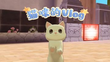 小猫变身vlog博主？