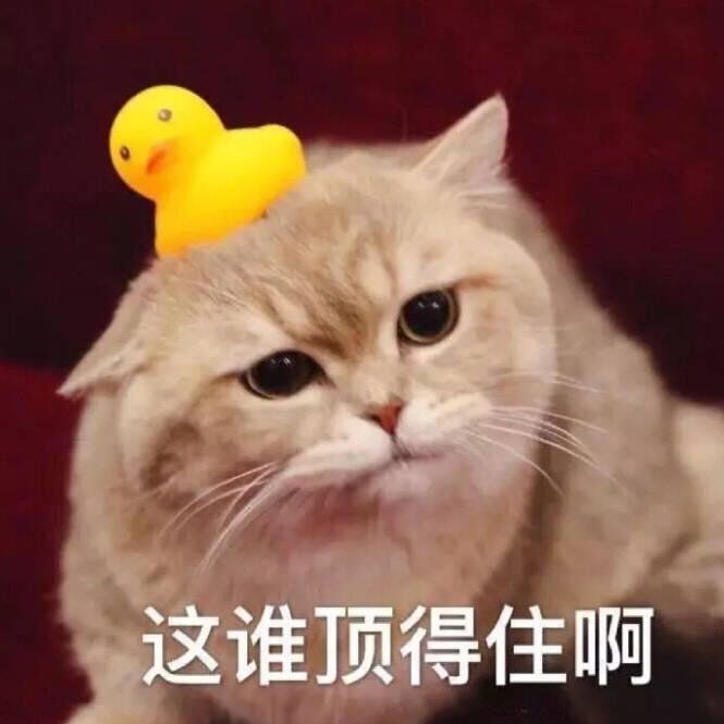 抽奖一个都没中截图