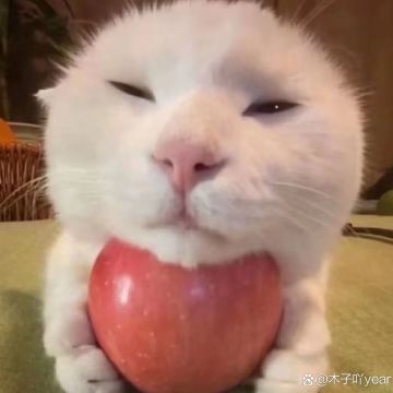 公益宣传！