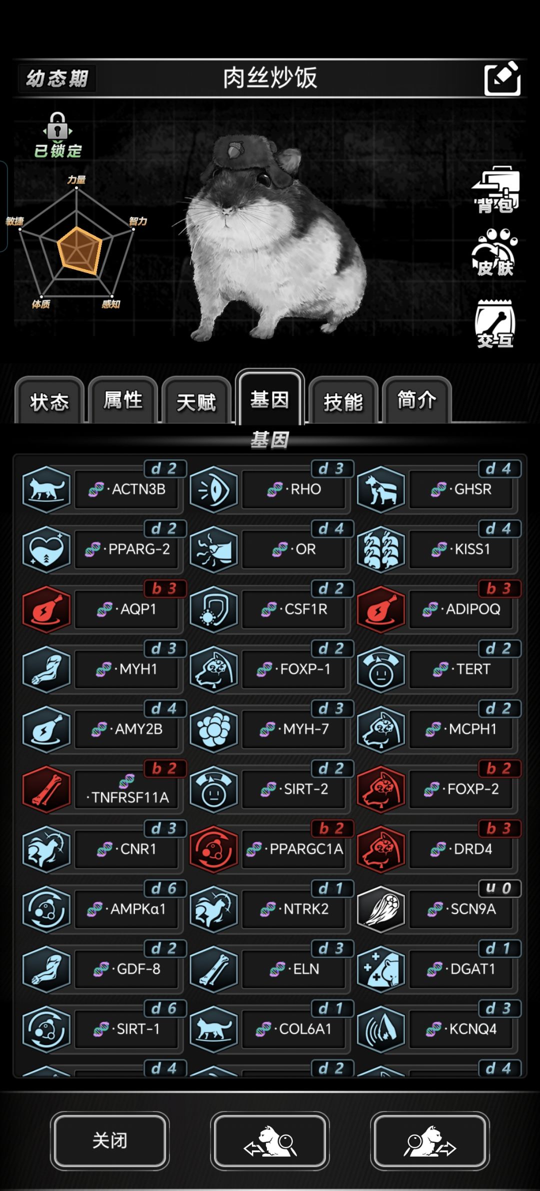 9.39.22365宠物系统小解 1