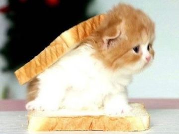 【菜鸟驿站】【薇帕水战（海神战士）】147对群大秘境攻略