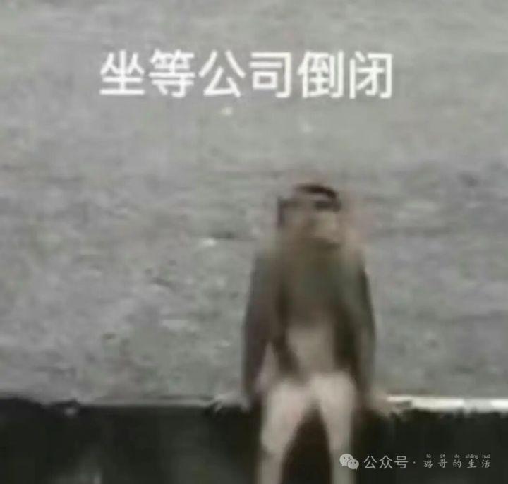 想找一个一起玩的 不止光遇截图
