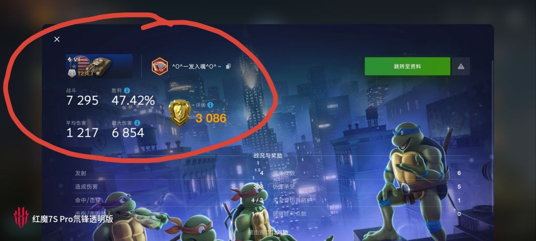 动态图片 7