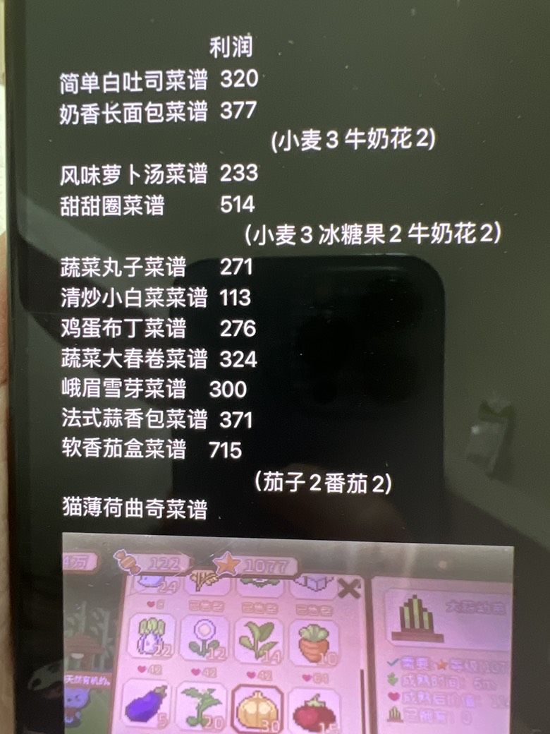 赚钱攻略
前期种白萝卜就够了！最赚钱 时间少
中期可以试着做菜谱的菜赚钱 详细看图（菜谱可通过许愿山石出 看脸）
以下是我现有菜谱 利润已经算出来了中期可以做奶香长面包或者甜甜圈
之后可以做软香茄盒 （利润715笑哈哈）
(●'◡'●)截图