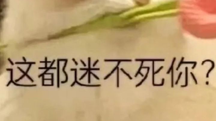 帅我一脸截图