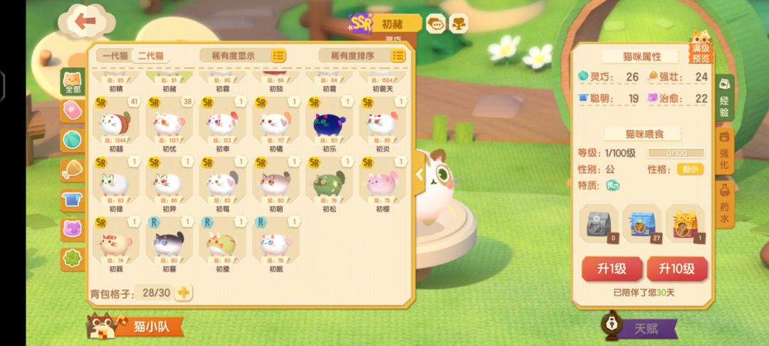 动态图片 6