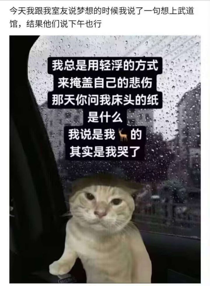 求有令和新能天使的佬好友截图