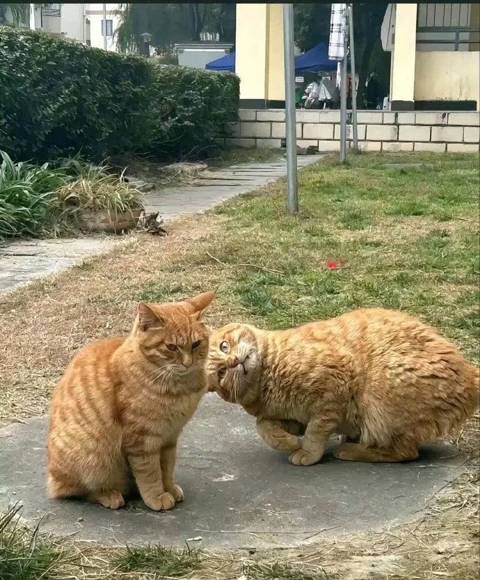 打卡截图