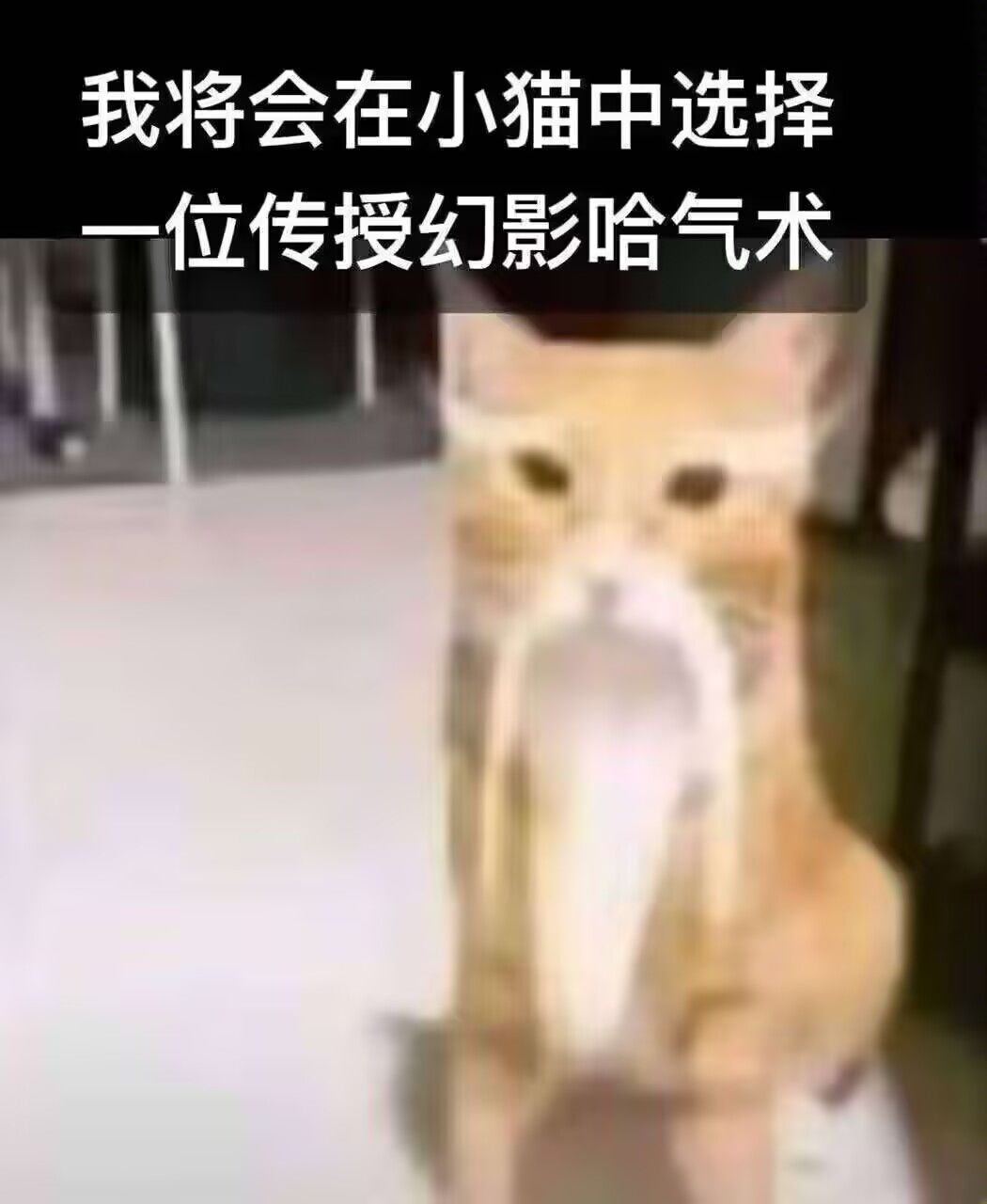 我是萌新,不懂就问。 1