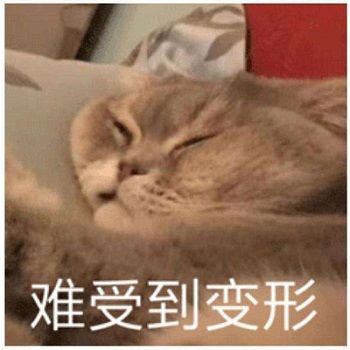 肉肉周周念——放假啦~放假啦~