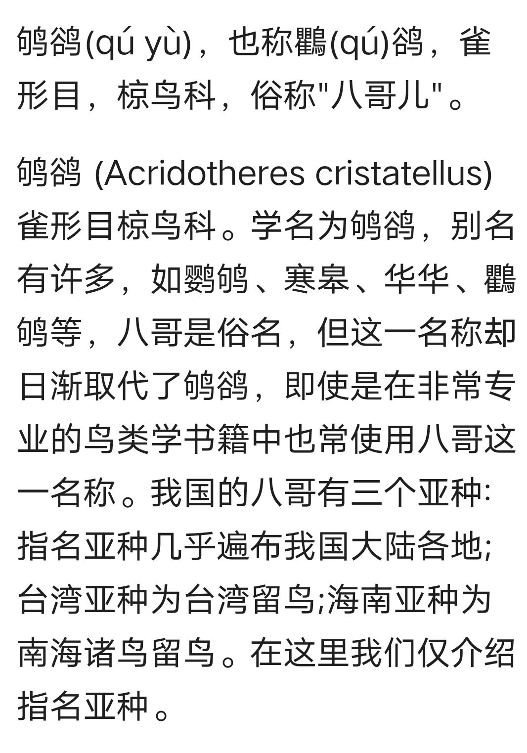 鬼市：虎头人像和雊鹆图 3
