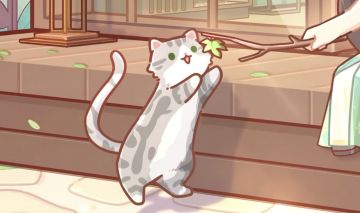 🎁含兑换码｜小猫小猫，再跳高一些~