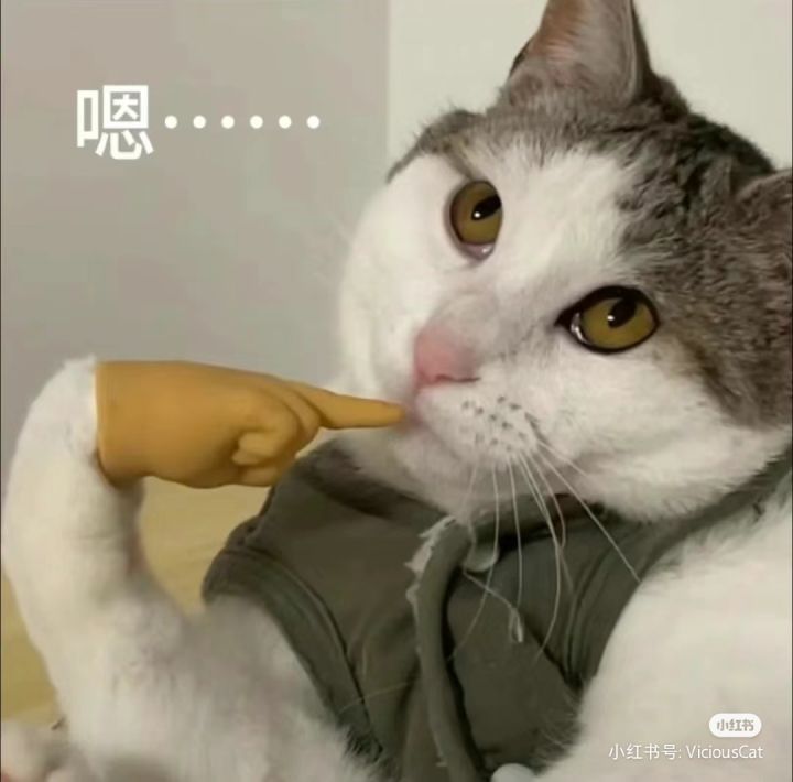 又想玩绝区零又想玩火炬截图