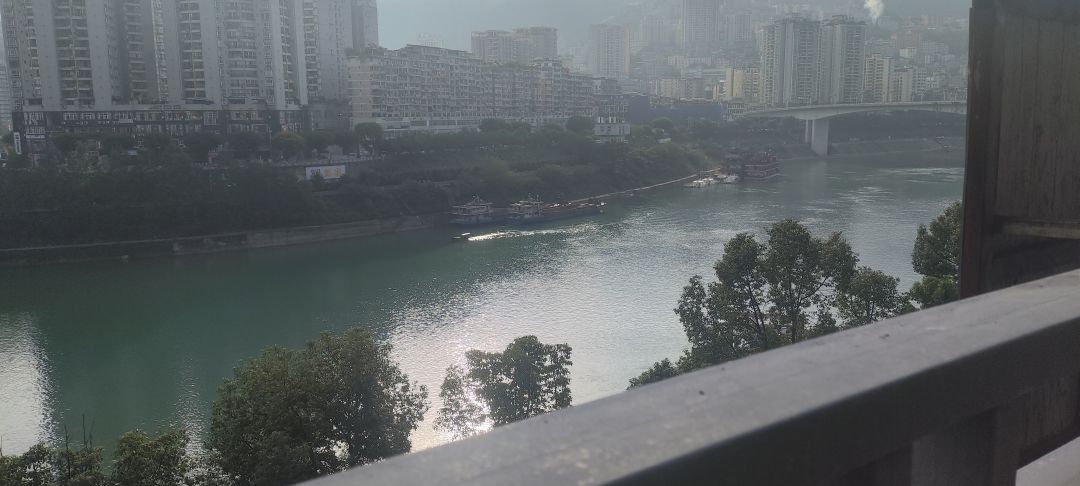 光遇王者dd,其一都可进,卡20 1