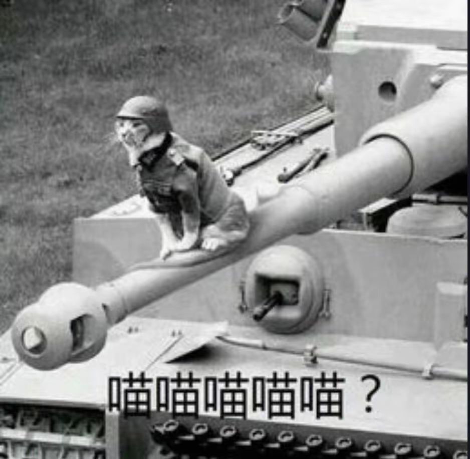 猛虎下山 2