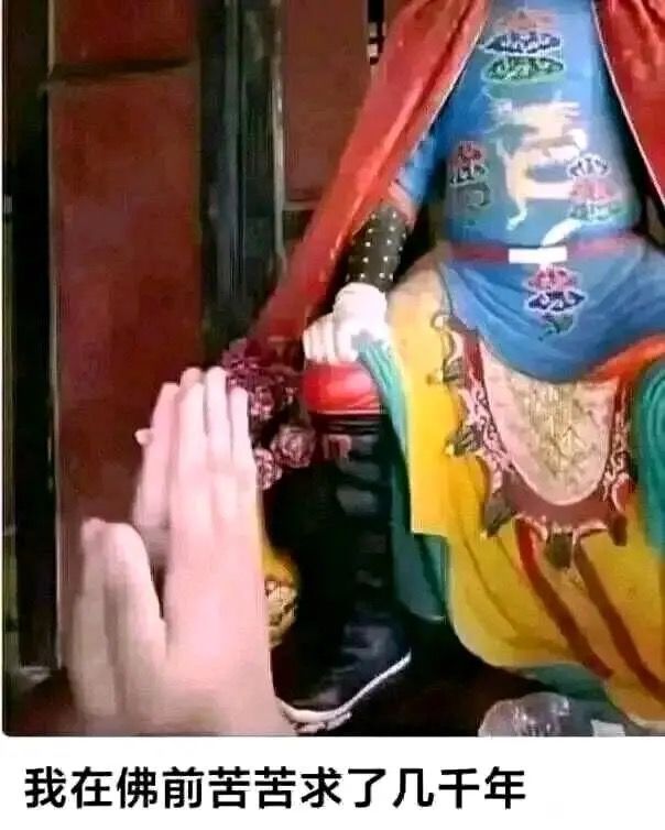 求助求助!!截图