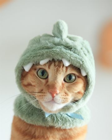 热液矿脉0.6%的触发的事件（文字版）