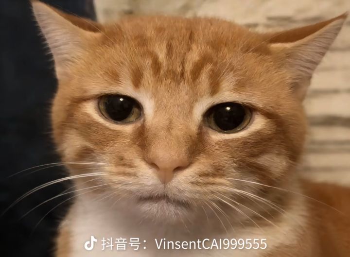 做为你的队友真的很心累截图