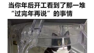 基础加点黑法篇（23.4.20更新）