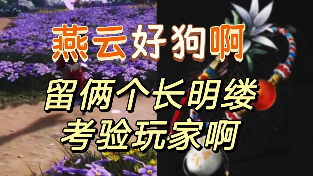 video-4971313