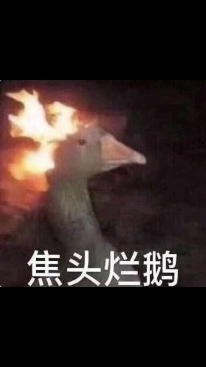 老刷子都回普通服了吗截图