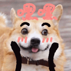 这维多利亚? 1
