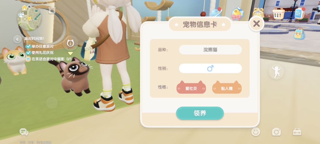 这个猫稀有吗 2