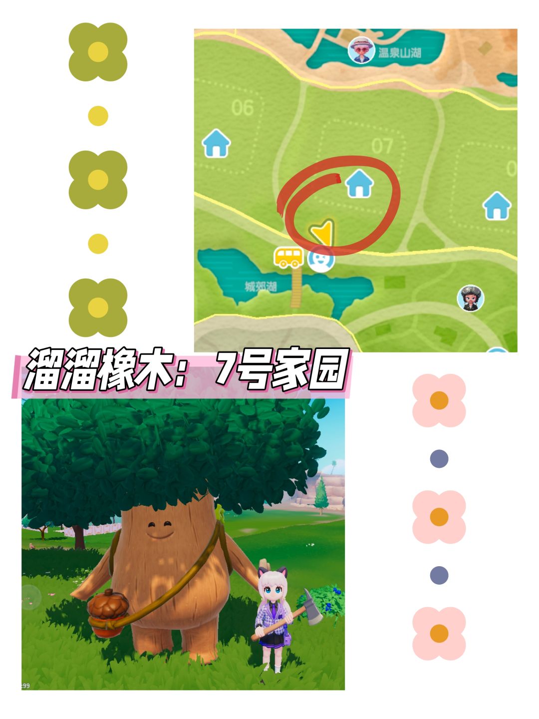 心动小镇日报(11.25)溜溜橡木+无暇萤石 3