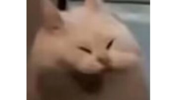 TNT无限激活啦！