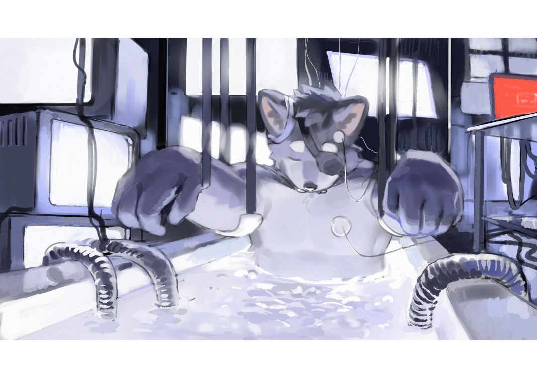 长期在线老登,来结义 1