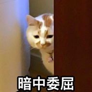 有没有大佬说说第八张怎么打的啊？截图