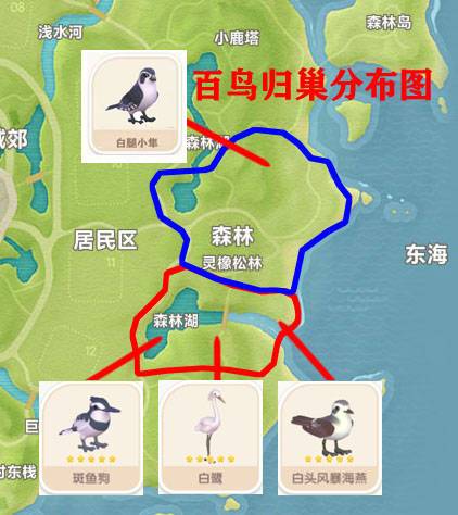 心动小镇新增鸟事件攻略 2