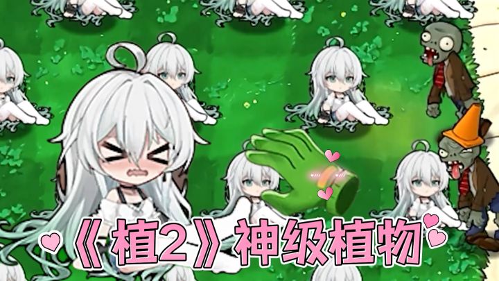 僵尸:求放过!《植2》这些冷门植物才是版本答案?截图