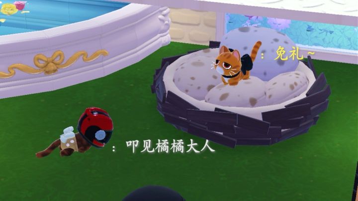 和喵喵们的日常截图
